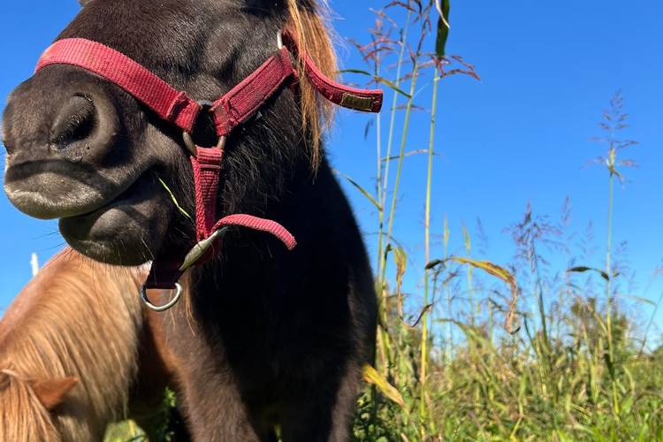 WhatsApp Image 2026-02-06 at 19.18.10.jpeg